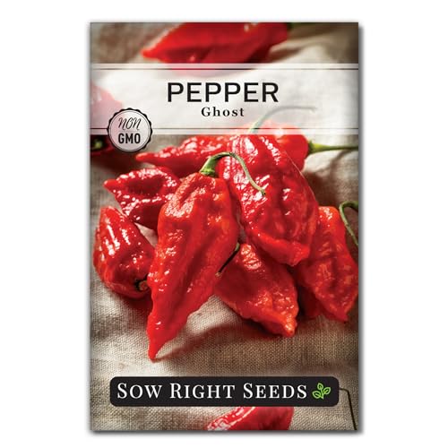 Sow Right Seeds - Ghost Pepper Seeds for Planting - Extra Hot Non-GMO Heirloom Peppers - Ideal for Indoor or Outdoor Gardens - Grow Your Own Hottest Pepper Plants - High Scoville Rating (1)