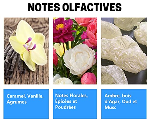 AYAT PERFUMES - Olio profumato 12 ml di Dubai |