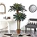 Nearly Natural 6FT & 4FT Artificial Sago Palm Trees Double Potted, Fake Palm Trees with Two Realistic Trunks and 80 Lifelike Palm Leaves in 10IN Brown Wicker Basket for Indoor Home Décor