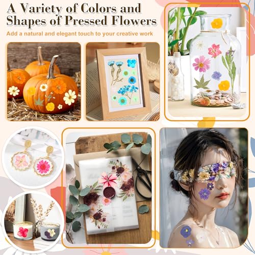 Image of 120 PCS Real Pressed Flowers, Natural Dried Pressed Flowers for Resin, Dried Florals Dry Flowers Leaves Kit with Tweezers for Scrapbooking DIY Art Crafts, Mother's Day Birthday Gift