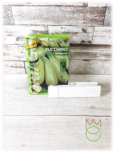 Courgette Bolognese Cucurbita pepo Zaden Zaden Groenten Groentetuin - Afbeelding 3