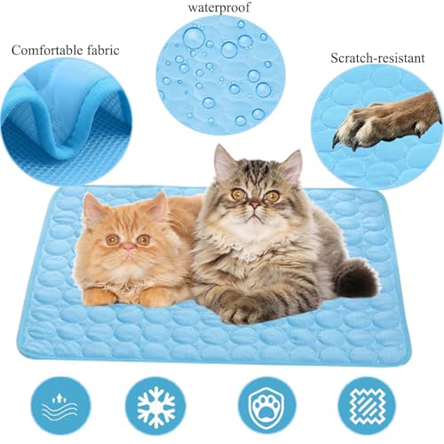 OUYULAI Kühlmatte für Hunde und Katzen, Selbstkühlende Hundematte, Ungiftig Kühlkissen für Haustiere, Waschbar Hund Kältematte für Drinnen, Draußen und Auto, Blau,60 * 50cm (Blau-2)