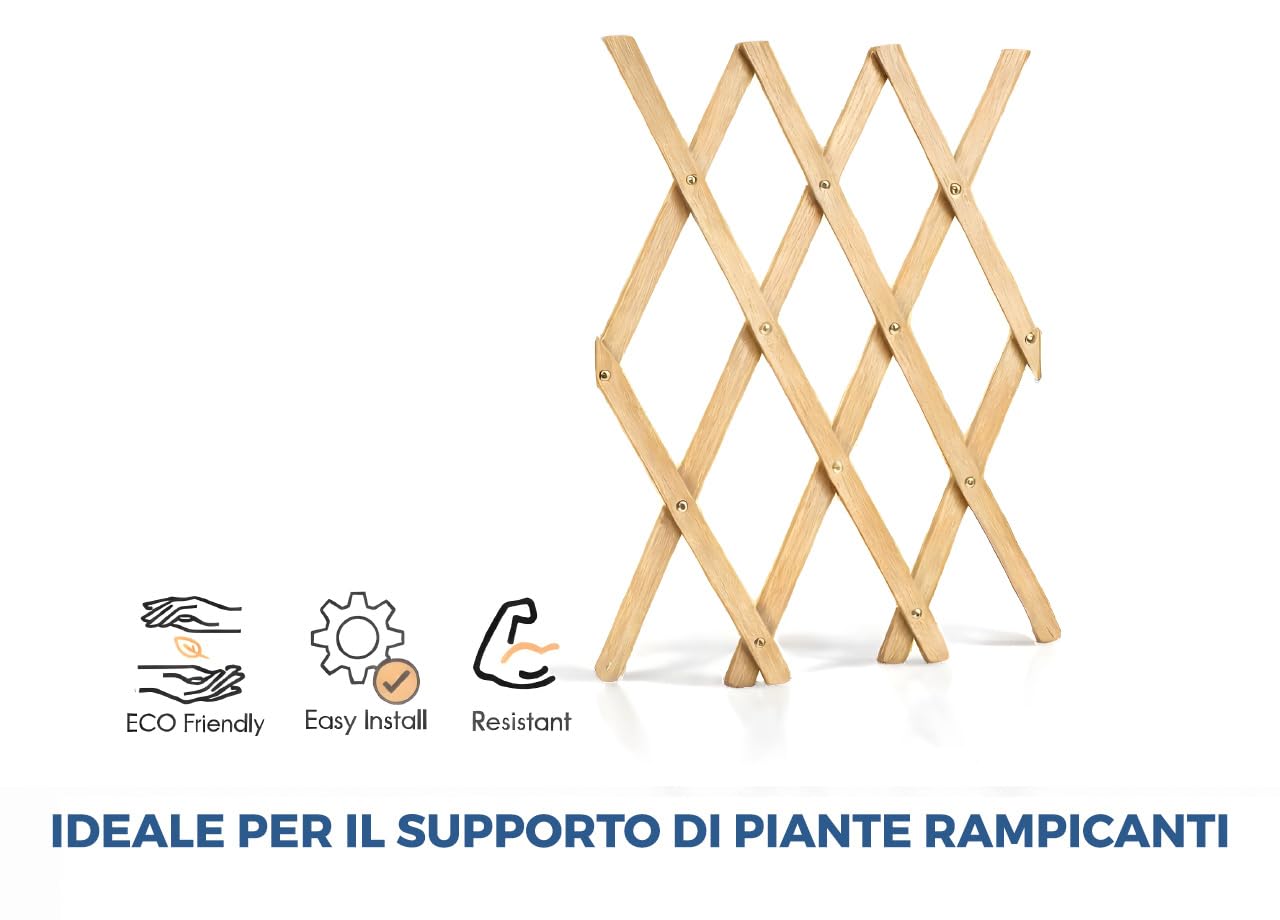 BIANCHERIAWEB Traliccio Estensibile in Legno per Piante Rampicanti Recinzione Giardino Balcone 150x200 Naturale