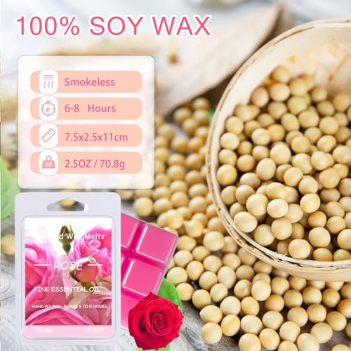 Scentchips Frasheng Duftwachswürfel 8 Stück – Aromatherapie Wax Melts