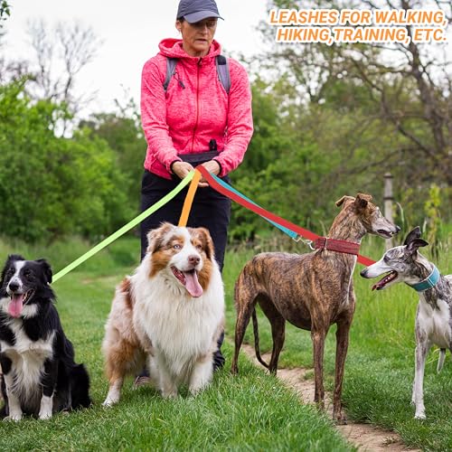 12 Pcs Dog Leashes for Small Medium Large Dogs, 6FT Lead Short Dog Leash with Swivel Hook for Walking, Training, Hiking, Rescues, Grooming, Shelter, Outdoor - Image 5