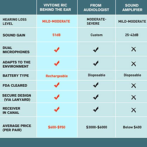 Vivtone Ric02 Professional Rechargeable Hearing Aid For Seniors Adults, Receiver-In-Canal (Ric) For Most Natural Sound Gain, Dual Mics For Noise Cancelling Digital Devices, Pair (Ric02-D) #TOP6