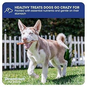Downtown-Pet-Supply-12-inch-Bully-Sticks-for-Large-Dogs-Pack-of-8-Single-Ingredient-Rawhide-Free-Dog-Chews-for-Aggressive-Chewers-Nutrient-Rich-and-Odor-Free-Bully-Sticks-for-Dogs-Beef - Cucciolini Doodles   Downtown-Pet-Supply-12-inch-Bully-Sticks-for-Large-Dogs-Pack-of-8-Single-Ingredient-Rawhide-Free-Dog-Chews-for-Aggressive-Chewers-Nutrient-Rich-and-Odor-Free-Bully-Sticks-for-Dogs-Beef