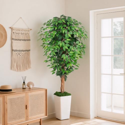 Image of 6ft Ficus Artificial Tree with 3 Natural Curved Trunks, 74 inch Tall Lush Faux Tree for Home Decor Indoor, Green Lifelike Fake Ficus Tree with White Wavy-Textured Planter Pot