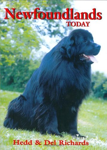 Newfoundlands Today (Book of the Breed S) by Hedd Richards (1998-01-06)