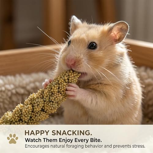 Image of Sukh 30 Pcs Natural Millet Spray - 12.6in Hamster Cage Accessories Decor