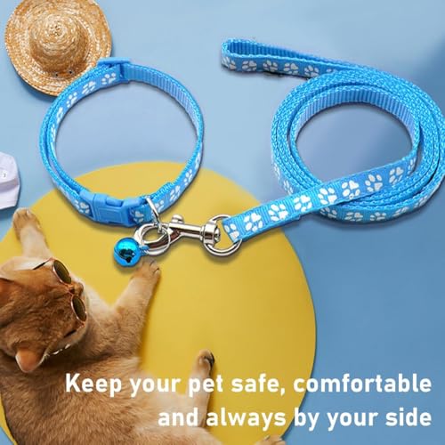 Hundeleine,5 m Einziehbar Hundeleine,Hundeleine Ausziehbar mit Anti-Rutsch Griff,Hundeleine Gurt Rollleine für Training und Spaziergänge für Kleine und Mittelgroße Hunde bis 15kg (Blau)