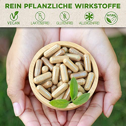 Foto von VMAS – Premium Mariendistel Kapseln hochdosiert 580g 80% Silymarin [180 Kapseln] – Mariendistel Artischocke Löwenzahn Komplex –vegan & laborgeprüft
