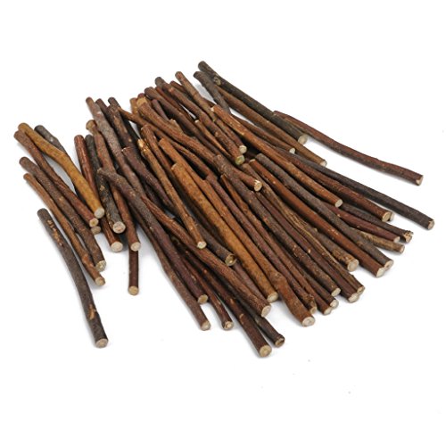 HANBEN 100/200pcs 5 Inch Long 0.1-0.2 Inch in Diameter Wood Log Sticks Twigs for Crafts Photo Props (100pcs/bag)
