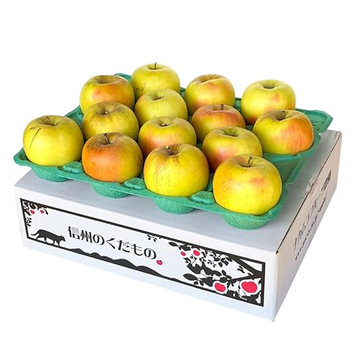 ӂ𒴂Bꂽ 11n񂲁uܖ5L󂠂ivSd4.4L5L ?33 _ѐYb 쌧Y ܖ MBY Yn