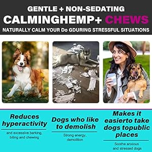   Calming-Chews-for-DogsQuiet-Moments-Dog-Calming-TreatsHelp-Promote-RelaxationDogs-Anxiety-Stress-Relief-BarkingSeparationThunderTravel-IssuesBeef-Flavor110-Count