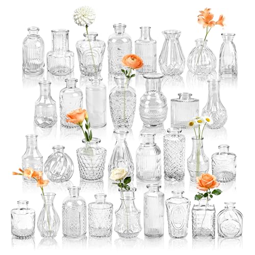Der Rose Glass Bud Vases Set of 32 Small Clear