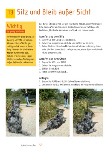 Spiel & Spaß mit Hund: Beschäftigungsideen für zu Hause und unterwegs