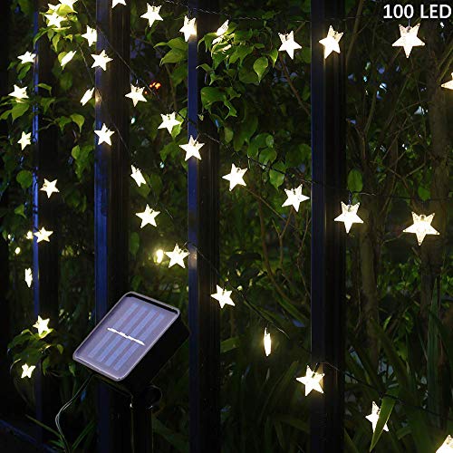 Garden Star Der Beste Preis Amazon In Savemoney Es