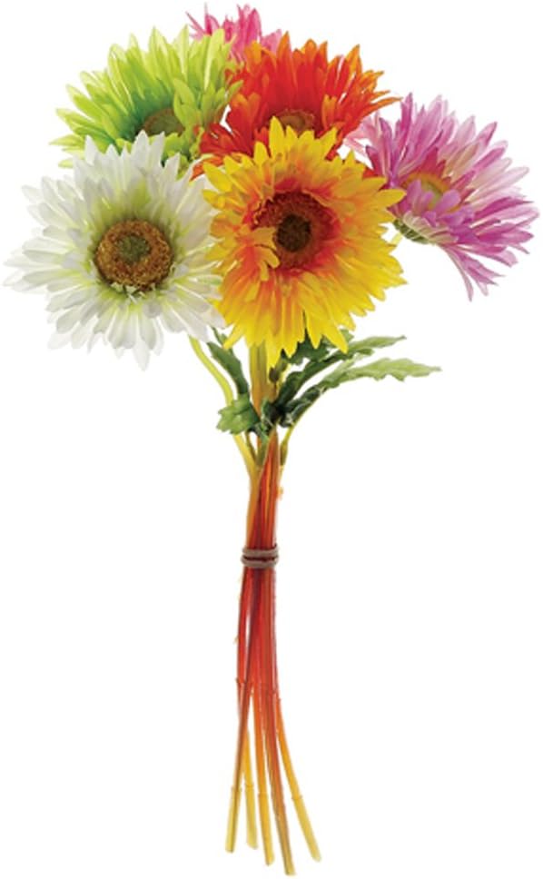 12" Gerbera Daisy Bundle x6 Mixed (Pack of 12) Home & Kitchen