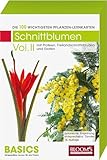 Schnittblumen Vol. II: Die 100 wichtigsten Pflanzen-Lernkarten - Karl-Michael Haake 