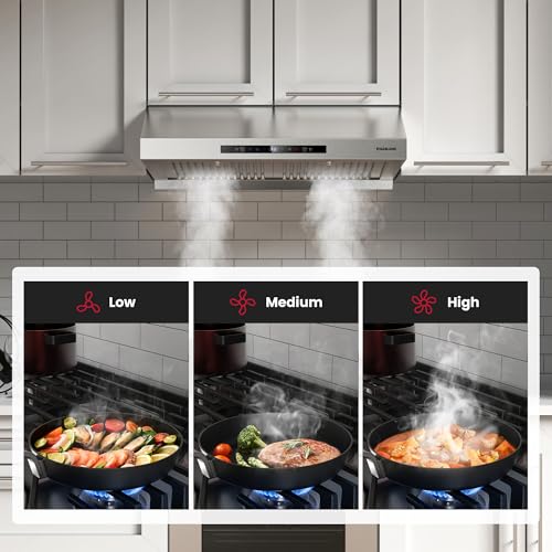GASLAND Master Series 30 Inch Range Hood UC30SSM for Under Cabinet, 700 CFM Kitchen Exhaust Fan, Stainless Steel Vent Hood with 5000K LED light, 3-speed Powerful Stove Vent Hood with Double Filters