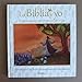 La Biblia y yo / The Bible and Me: Historias con un mensaje de vida (Spanish Edition)