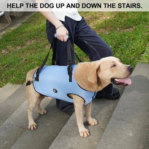 image for Coodeo Dog Lift Harness, Pet Support & Rehabilitation Sling Lift Adjus