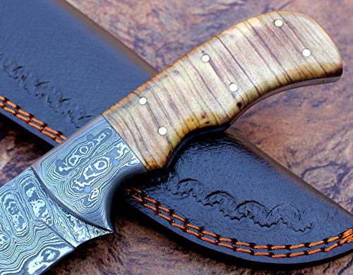 KE-0230-HK CUSTOM HANDMADE DAMASCUS STEEL SKINNER KNIFE OLIVE WOOD HANDLE