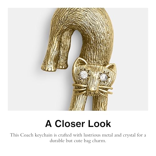 Coach Cat Bag Charm4