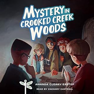 Mystery in Crooked Creek Woods Audiolibro Por Amanda Cleary Eastep arte de portada