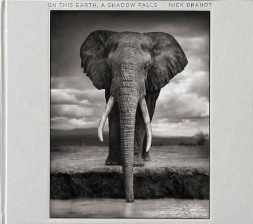 Télécharger On This Earth, a Shadow Falls PDF Ebook En Ligne