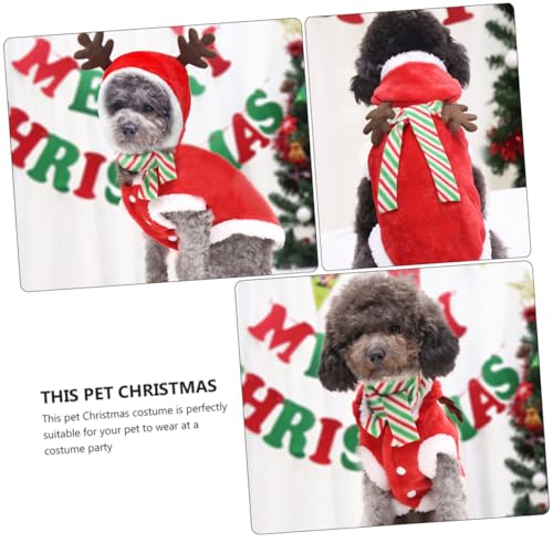 Disfraz navideño para perro con bufanda talla L miniatura 7