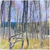 FallRiverBackwoodsRecordings