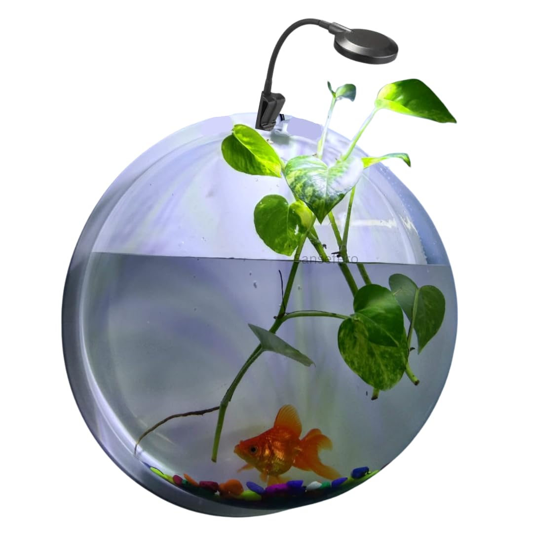 Premier Plants Wall Hanging Acrylic Fish Bowl with LED Light and Free Stones (12 Inch LED Light) (B0DCP9DPRG) Amazon Price History, Amazon Price Tracker