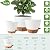 Fielda 8/10/12 Inch Self Watering Pots for Indoor/Outdoor Plants - Large Plastic Planter with Drainage Holes, Water Level Indicator & Deep Reservoir, Modern Decorative Flower Pots (White)