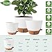 Fielda 8/10/12 Inch Self Watering Pots for Indoor/Outdoor Plants - Large Plastic Planter with Drainage Holes, Water Level Indicator & Deep Reservoir, Modern Decorative Flower Pots (White)