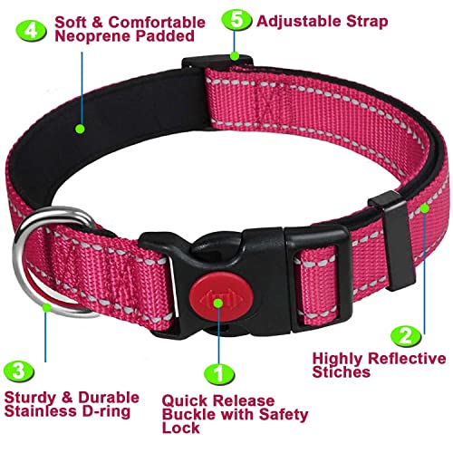 ATETEO Dog Collar, Reflective Adjustable Basic Dog Collar with Soft Neoprene Padding, Durable Nylon Pet Collars for Puppy Large Dogs - Image 2