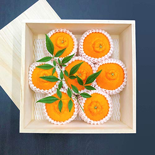 ys\z Í̎Yn c̕sm (ʂ) 7 ؔ Ii p a̎RY Yn