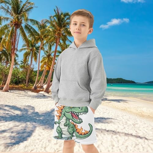 Boys Casual Shorts, Athletic Gym Shorts Elastic Waist with Pockets Green Fire Dinosaur Summer Sports Homewear 7-15Y4