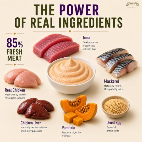 Image of Grain Zero Adult Cat Wet Mousse 80g Pack of 5, (400g) | Ocean Fish | Rich in Protein | Promotes Hydration & Easy to Digest | No Artificial Flavours | Packed with Essential Vitamins & Antioxidants