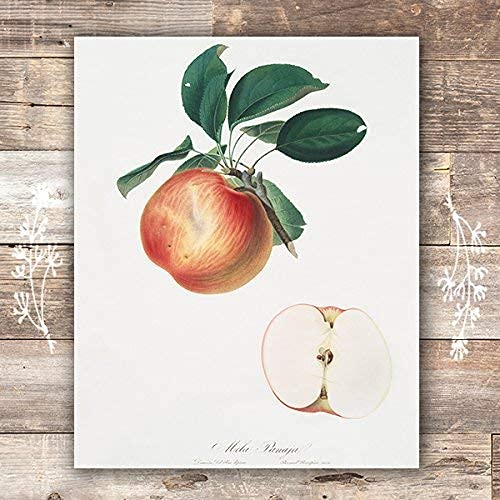 Vintage Fruit Art Prints - Kitchen Botanical Prints - (Set Of 6) - Unframed - 8X10S #TOP3