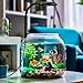 DaToo Mini Clip On Aquarium Light 7W Dimmable Small Fish Tank Light USB Moving Lamp with White Red Blue Green LED for 1 to 3 Gallon Tanks