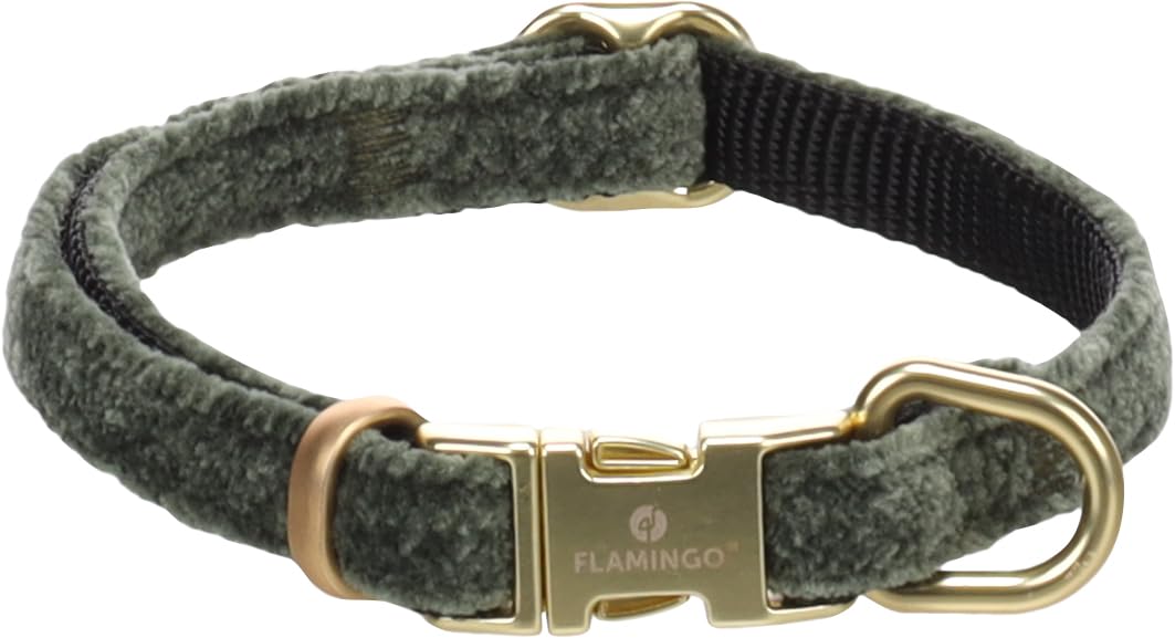 10x Beste Puppy Halsband - Review & Getest