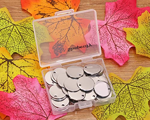 Shapenty Small Round Stainless Steel Flat Blank Stamping Tag Pendants Mini Discs For Bracelet Earring Necklace Chain Charms Jewelry Making Specialized Number Alphabet Stamping, 50Pcs (Silver, 10Mm) #TOP4