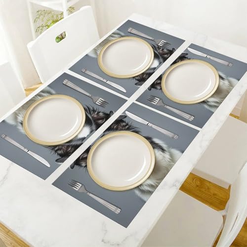 Sets de table Border Collie étanches pour vos repas en terrasse - 7