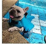 4.Perfetto per l'abbigliamento quotidiano, le occasioni speciali, le feste del fine settimana, Halloween, Natale, compleanni, servizi fotografici e date di gioco, o semplicemente per rendere il tuo animale domestico il migliore. Perfetto per feste o vacanze e vestirsi di tutti i giorni