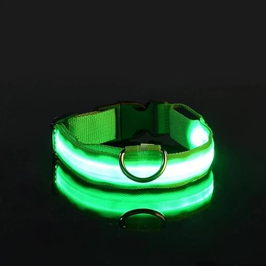 Coleira LED para Cães Recarregável por USB – Ajustável, Visível à Noite, Alta Segurança para Passeios (Verde, P)