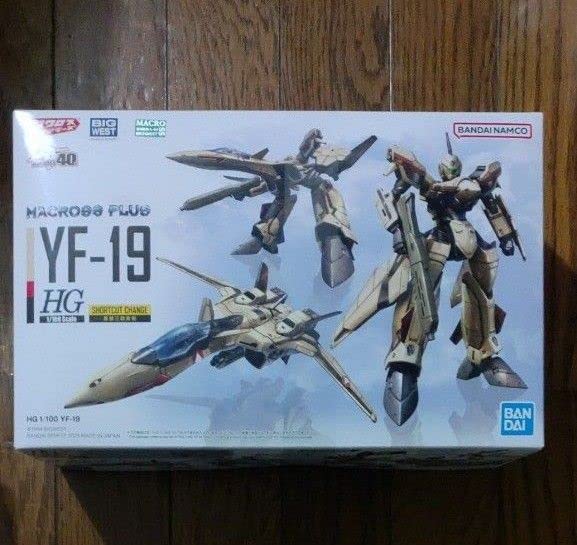 マクロスプラスYF-19エクスカリバー　1/100 Amazon.co.jp: マクロスプラス 1/100 HG YF-19 エクスカリバー : ホビー
