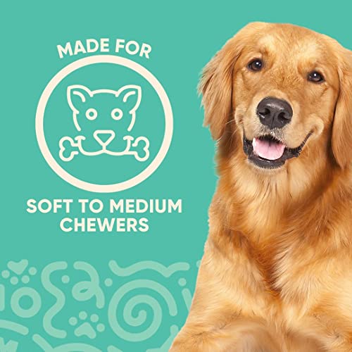 FetchFlyer Dog Frisbee Toy – Interactive Outdoor Fetch Toy Designed for Safe Pet Play, Made from Textured & Non-Toxic Silicone – for Soft and Medium Chewers FetchFlyer Dog Frisbee Toy – Interactive Outdoor Fetch Toy Designed for Safe Pet Play, Made from Textured & Non-Toxic Silicone – for Soft and Medium Chewers