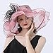 Fashion Derby Hat for Women Large Wide Brim Kentucky Organza Hats Ladies Tea Party Wedding Fascinator Vintage Fedoras